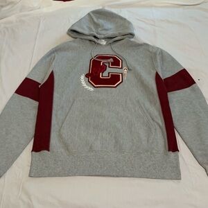 Champion Hoodie Gray and Red Men's Sz Large Pre-owned